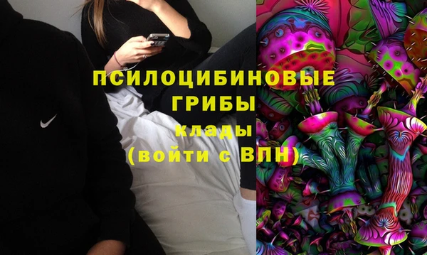 гидропоника Алексеевка