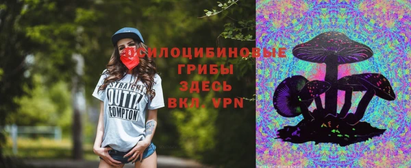 гидропоника Алексеевка